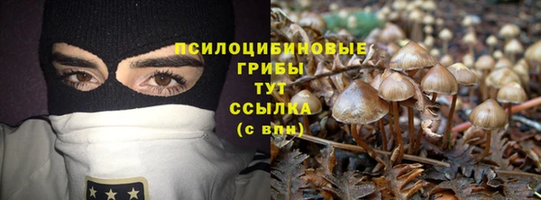 мескалин Тында
